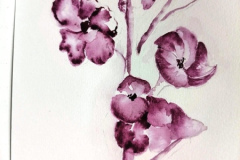 Aquarelle-2024-202524-2