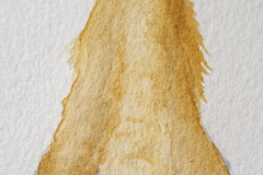 Aquarelle-2024-202525