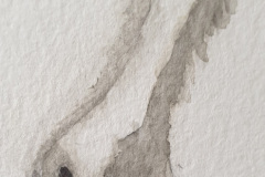 Aquarelle-2024-202526