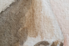 Aquarelle-2024-202527