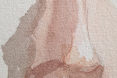 Aquarelle-2024-202528