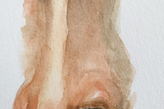 Aquarelle-2024-202529