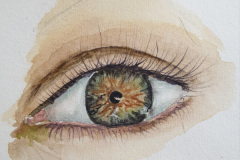 Aquarelle-2024-202530