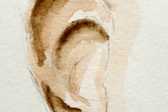 Aquarelle-2024-202534