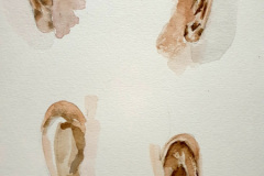 Aquarelle-2024-202535