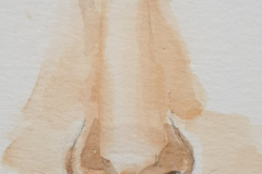 Aquarelle-2024-202536