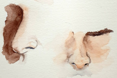 Aquarelle-2024-202537