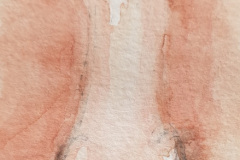 Aquarelle-2024-202542