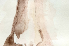 Aquarelle-2024-202547