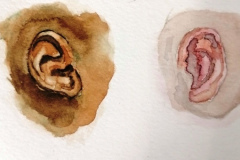 Aquarelles-2024-20252