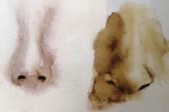 Aquarelles-2024-20253