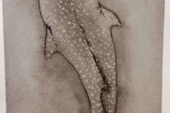 Encre-de-chine-2024-2025