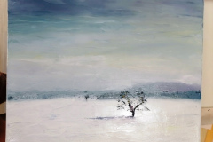 IMG_20241212_113342_resized_20250113_090855434