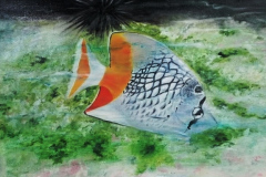 Peinture-2024-202501