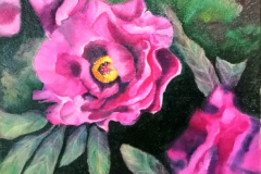 Peinture-2024-202507