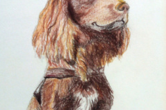 1_Dessin-2023-2024001