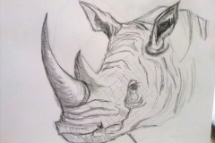 1_Dessin-2023-2024002