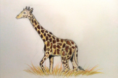 1_Dessin-2023-2024004