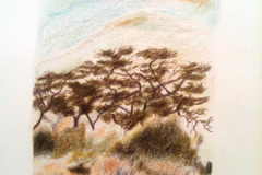 1_Dessin-2023-2024006