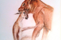 1_Dessin-2023-2024007