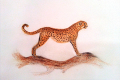 1_Dessin-2023-2024008