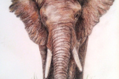 1_Dessin-2023-2024009