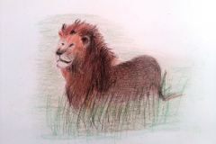 1_Dessin-2023-2024011