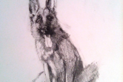 1_Dessin-2023-2024014