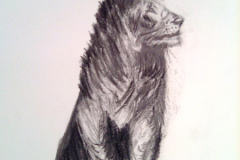 1_Dessin-2023-2024016