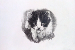 1_Dessin-2023-2024017