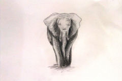 1_Dessin-2023-2024018