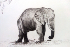 1_Dessin-2023-2024020