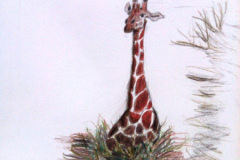 1_Dessin-2023-2024021