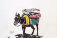 1_Dessin-2023-2024022