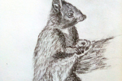 1_Dessin-2023-2024023