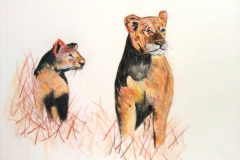 1_Dessin-2023-2024028