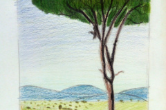 1_Dessin-2023-2024029