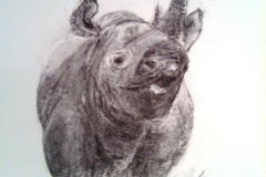 1_Dessin-2023-2024033