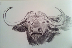 1_Dessin-2023-2024036