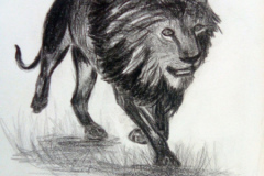 1_Dessin-2023-2024039