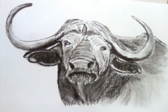 1_Dessin-2023-2024040