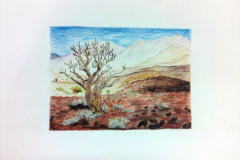 1_Dessin-2023-2024044