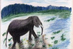 1_Dessin-2023-2024045