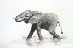 1_Dessin-2023-2024047