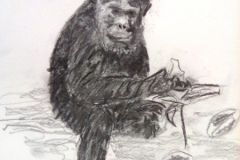 1_Dessin-2023-2024048