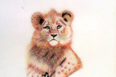 1_Dessin-2023-2024050