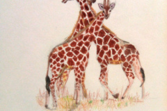 1_Dessin-2023-2024052