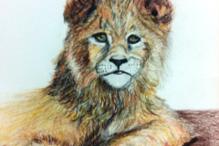 1_Dessin-2023-2024054