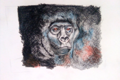 1_Dessin-2023-2024056