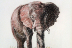 1_Dessin-2023-2024058